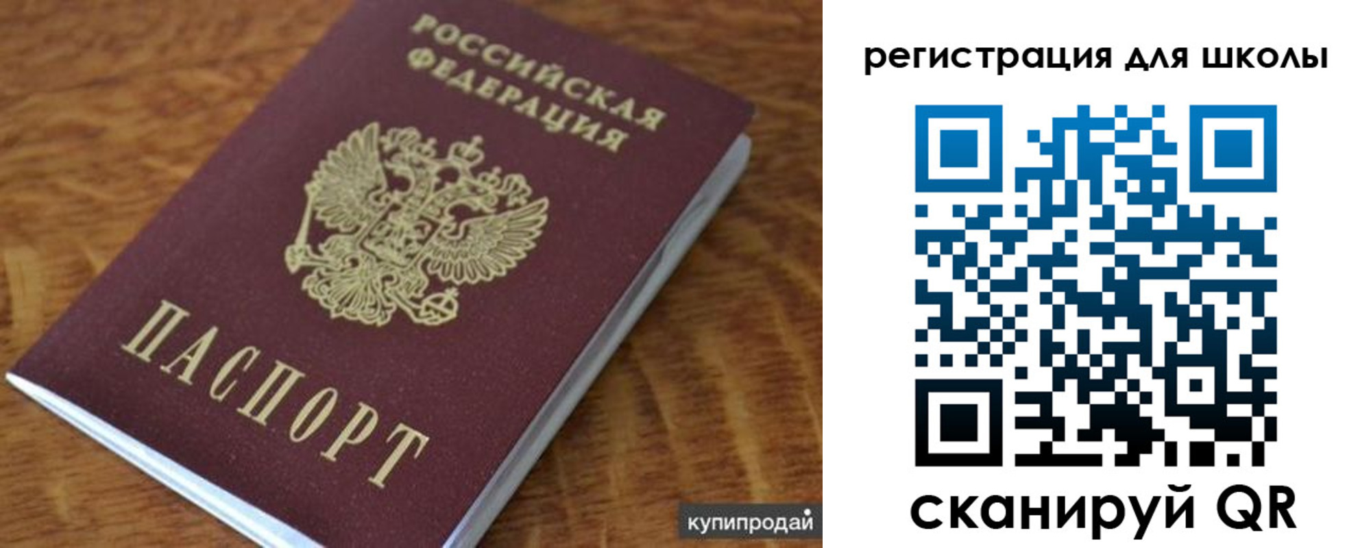 прописка законно в Коле